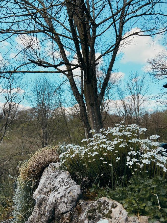 Le Gite Martin Dinant Exteriér fotografie
